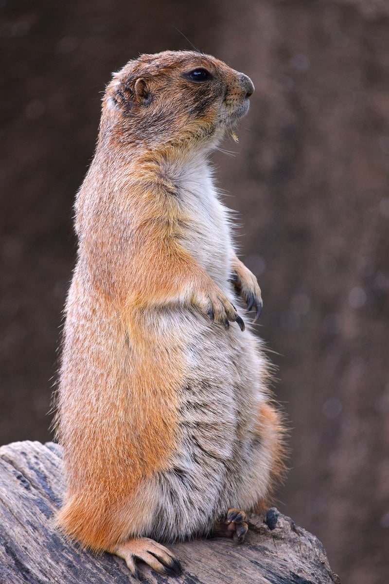Proper posture
